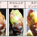 「つぼみ調査」の報告ランク