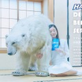 リフレッシュサービス「DELIVERY BEAR SERVICE（デリバリーベア）」