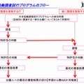 日米協働調査（試行プログラム）の流れ