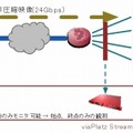 ストリームモニタ（10Gbps）を用いた8K非圧縮映像のモニタリング