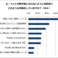 ペットの熱中症への具体的な対策