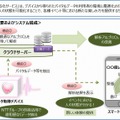 サービス概要・システム構成