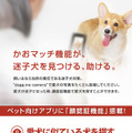 類似の犬の顔を探すことができる「かおマッチ機能」は、あらかじめ愛犬の写真を撮り溜めておくことで認証精度が向上する（画像はプレスリリースより）