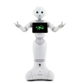 人型ロボット「Pepper」