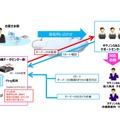 「お手軽運用パック」の保守概要イメージ図。震災リスクが少ない沖縄にデータセンターを設置している点やキヤノンS&Sによる監視・保守サービスが特徴となる（画像はプレスリリースより）