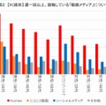 オンライン動画メディアの接触状況（PCメディア）