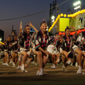 徳島の阿波踊り（c）Getty Images