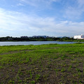 城南島から東京港野鳥公園を眺める。羽田アクセス新線はこの付近の地下に設置される計画だ