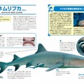 図解　生き物が見ている世界