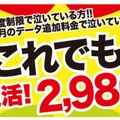 新プラン「これでもかっ!!」のイメージ