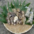 「江田島産牡蠣」のイメージ画像