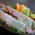 呼子のいか