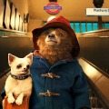 『パディントン』　-（C） 2014 STUDIOCANAL S.A.  TF1 FILMS PRODUCTION S.A.S Paddington Bear (TM),Paddington(TM) AND PB(TM) are trademarks of Paddington and Company Limited