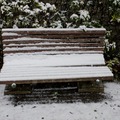 首都圏で積雪、学生の足を直撃…臨時休講で「詫び単位」や交通費要求（画像はイメージ）