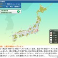 PC用インターネットサイト「ウェザーニュース」の「花粉Ch.」