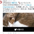 Twitterは、Vineで「猫の日」特設コーナーをオープン