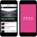スポーツに特化した情報を配信する新メディア「運動通信」