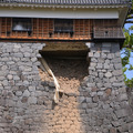 石垣が崩れるなど、地震による被害が出ている熊本城 (C)GettyImages