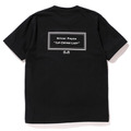 「C.E」×「Oliver Payne」コラボTシャツ（バック）