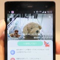 遠くにいながらにして、愛犬の「いま」が手許のスマートフォンで分かる