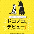 「ほぼ日刊イトイ新聞」での告知