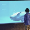 NHK「水族館ガール」　＜写真提供　NHK＞