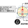 同社の指静脈認証は、本人拒否率0.01%、他人受入率0.0001%、登録未対応率0.03%以下を誇っている（画像は公式Webサイトより）