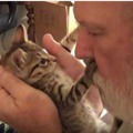 【動画】飼い主さんのキスにキレた子猫