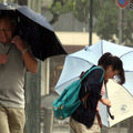 画像はイメージです （Photo by Buddhika Weerasinghe/Getty Images）