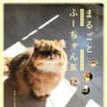 「ねこ休み展」のゴールデンウィーク巡回展とスピンオフ企画の開催が決定