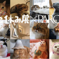 「ねこ休み展」のゴールデンウィーク巡回展とスピンオフ企画の開催が決定