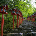 貴船神社も新緑のライトアップを行う