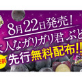 ガリガリ君から新商品「大人なガリガリ君ぶどう」登場！無料配布イベントも開催