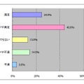 端末満足度