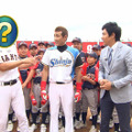 （c）TBS