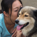 保護犬写真集のクラウドファンディングがスタート