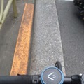 【レビュー】自転車のナビはゆるくていい……自由なルートで目的地を目指す「BeeLine」