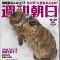 95年の歴史で初めて表紙が猫に！明日19日発売の「週刊朝日」は丸ごと一冊が猫だらけ