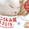 26日から開催！「ねこ休み展 冬 2018」の詳細が明らかに