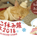 26日から開催！「ねこ休み展 冬 2018」の詳細が明らかに