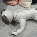 「ロボットペットはアリなのか？」たしかに犬っぽいAIBOに感心