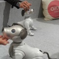 「ロボットペットはアリなのか？」たしかに犬っぽいAIBOに感心