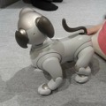 「ロボットペットはアリなのか？」たしかに犬っぽいAIBOに感心