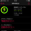 ワークアウトの記録はiPhoneのアクティビティアプリから日時やデータ項目ごとに細かくチェックできる