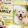 「JALペットファミリー」に入会すると、ペットの写真が入った会員証が発行される