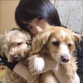 写真は川栄李奈のTwitterから