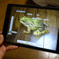 ARアプリがサクサクと楽しめる新しいiPad。カエルの解剖が学べる真面目な文教系ARアプリ「Froggipedia」