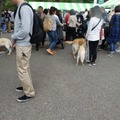 「代々木公園わんわんカーニバル2018」に行ってみた！イベント、掘り出し物もいっぱい