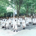 けやき坂46の日替わりSHOWROOM配信が本日スタート！