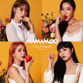 MAMAMOO、日本デビューシングルが『LOVE CONNECTION』で初オンエア